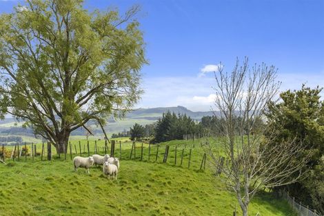 Photo of property in 646 Omanawa Road, Omanawa, Tauranga, 3171