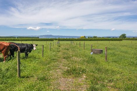 Photo of property in 5134 State Highway 29, Matamata, 3472