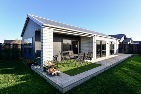 Photo of property in 43 Capper Crescent, Chartwell, Hamilton, 3210