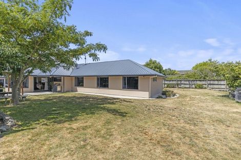 Photo of property in 42b Brydon Street, Renwick, 7204