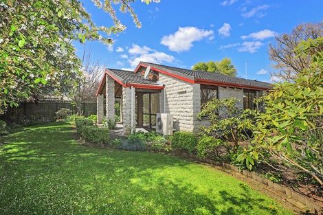 Photo of property in 6 Palmer Place, Parkvale, Hastings, 4122