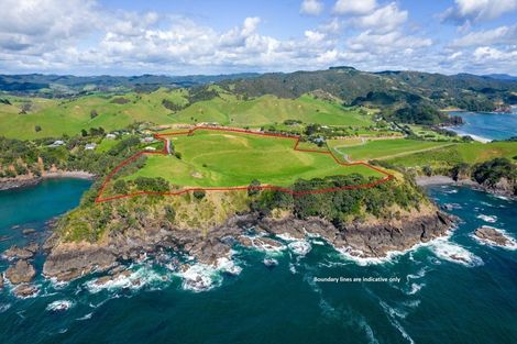 Photo of property in 118 Rockell Road, Whananaki, Hikurangi, 0181