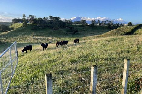 Photo of property in 187 Smart Road, Hillsborough, New Plymouth, 4372