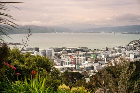 Photo of property in Harbour View Apartments, 147 Ohiro Road, Brooklyn, Wellington, 6021