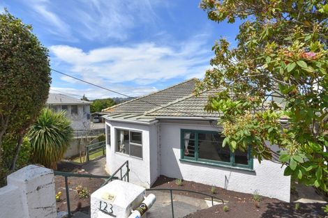 Photo of property in 123 Forbury Road, Saint Clair, Dunedin, 9012