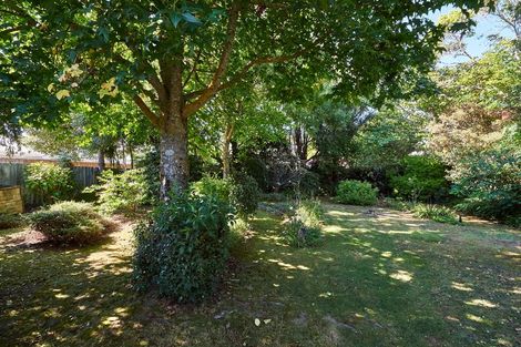 Photo of property in 34 Manson Street, Terrace End, Palmerston North, 4410