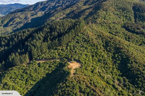 Photo of property in 167 Anakiwa Road, Anakiwa, Picton, 7281