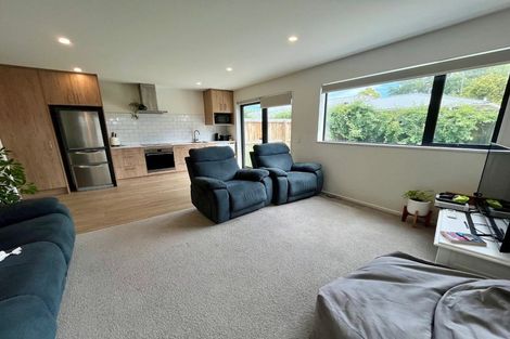 Photo of property in 4/17 Hornbrook Street, Waltham, Christchurch, 8023