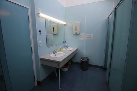 Photo of property in 113 Coromandel Street, Newtown, Wellington, 6021