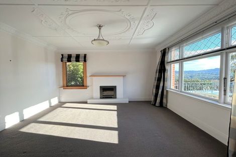 Photo of property in 113 Signal Hill Road, Opoho, Dunedin, 9010