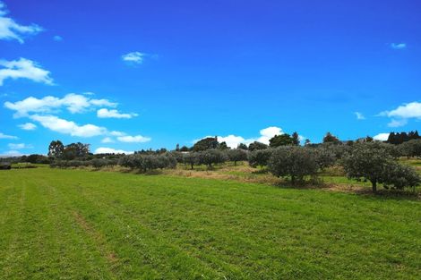 Photo of property in 367 Oropi Gorge Road, Oropi, Tauranga, 3173