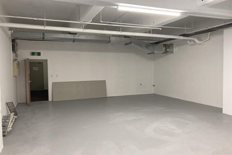 Photo of property in 25 Tennyson Street, Te Aro, Wellington, 6011