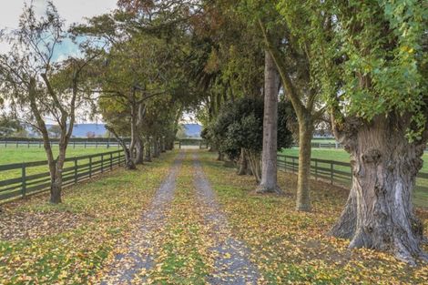 Photo of property in 228 Keith Road, Waerenga, Te Kauwhata, 3781