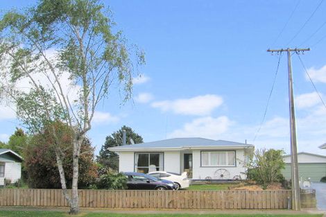 Photo of property in 133 Studholme Street, Morrinsville, 3300