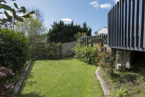 Photo of property in 7b Belvedere Street, Te Puke, 3119