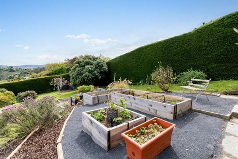 Photo of property in 43 Sunbury Street, Andersons Bay, Dunedin, 9013