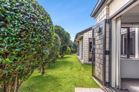 Photo of property in 6c Vosper Street, Matamata, 3400