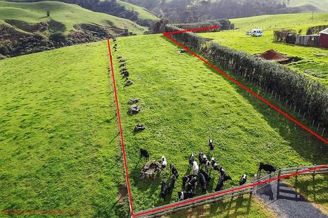 Photo of property in 310 Whiriwhiri Road, Otaua, Waiuku, 2682