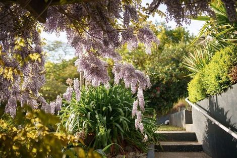 Photo of property in 25 Maire Street, Tahunanui, Nelson, 7011