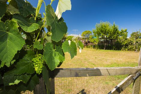 Photo of property in 24 Birrell Street, Elgin, Gisborne, 4010