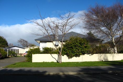 Photo of property in 165 Lamond Street, Hargest, Invercargill, 9810