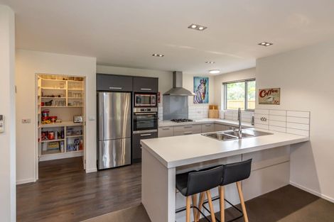 Photo of property in 153 Lowes Road, Rolleston, 7614