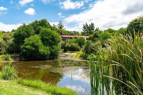 Photo of property in 1951 Cove Road, Mangawhai, Kaiwaka, 0573