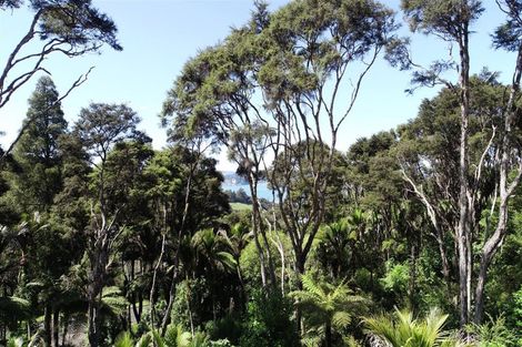 Photo of property in 41 Tarapatiki Drive, Whitianga, 3510