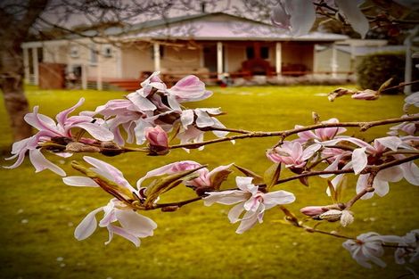 Photo of property in 587 Gladstone Road, Gladstone, Carterton, 5792