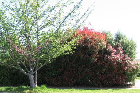 Photo of property in 1/62 Rotokawa Street, Taupo, 3330