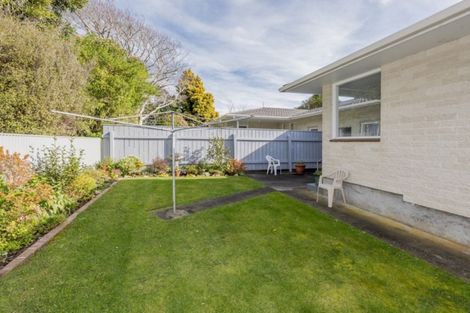 Photo of property in 78 Winchester Street, Levin, 5510