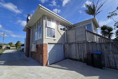 Photo of property in 65 Webster Avenue, Mount Roskill, Auckland, 1041