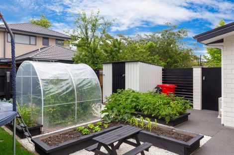 Photo of property in 11 Stamford Lane, Springlands, Blenheim, 7201