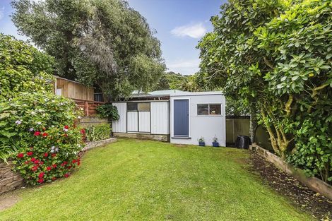 Photo of property in 64 Liardet Street, Vogeltown, Wellington, 6021