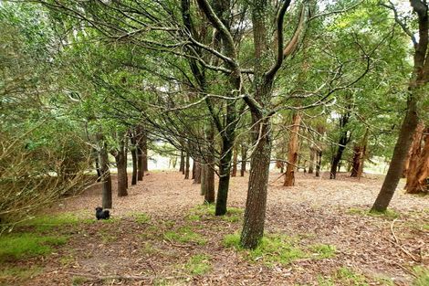 Photo of property in 313 Hill Road, Eskdale, Napier, 4182