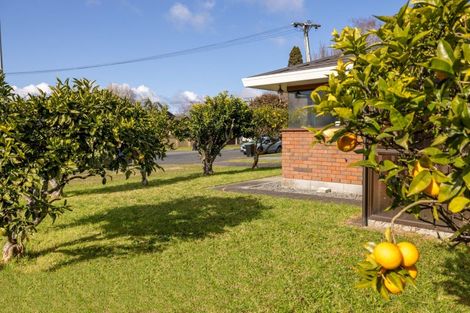 Photo of property in 499a Devonport Road, Tauranga South, Tauranga, 3112