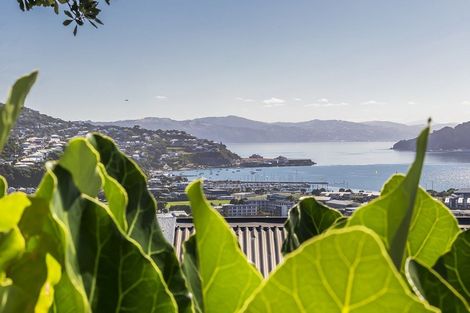 Photo of property in 38 Lerwick Terrace, Melrose, Wellington, 6022