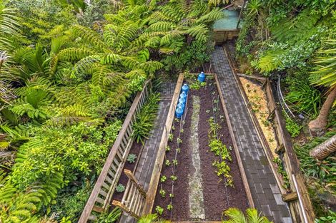 Photo of property in 24 Punga Place, Whitianga, 3510