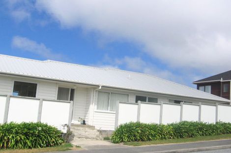 Photo of property in 43 Ashton Fitchett Drive, Brooklyn, Wellington, 6021