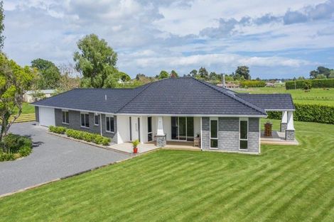 Photo of property in 33 Wakefield Road, Levin, 5571