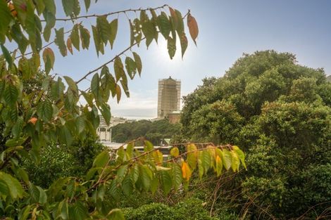 Photo of property in Sherwood Mews, 28w Bidwill Street, Mount Cook, Wellington, 6021