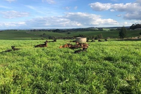 Photo of property in 51 Mcleod Road, Waipapa, 0295