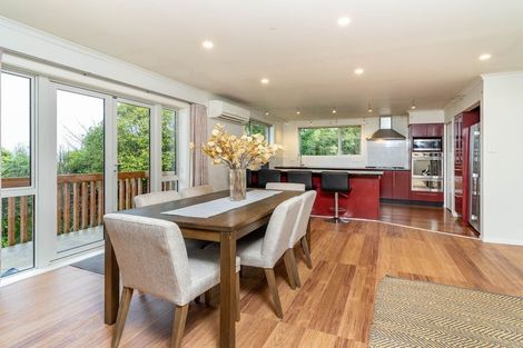 Photo of property in 45 Leven Street, Roslyn, Dunedin, 9010