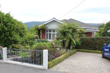 Photo of property in 113 Signal Hill Road, Opoho, Dunedin, 9010