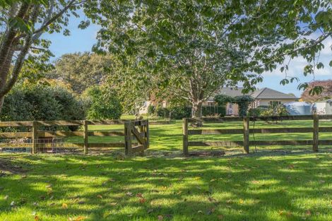 Photo of property in 81b Horrell Road, Morrinsville, 3374