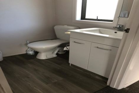 Photo of property in 60a Campbell Road, Mount Maunganui, 3116