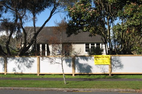 Photo of property in 60 Alfred Street, Fairfield, Hamilton, 3214