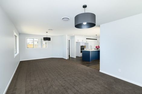 Photo of property in 163a Denbigh Street, Feilding, 4702