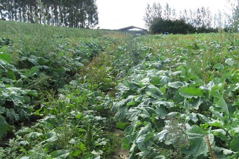 Photo of property in 33 Tuhingamata Road, Oruanui, Taupo, 3384