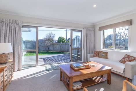 Photo of property in 45 Chester Street, Levin, 5510